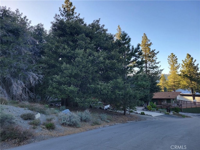 0 Desert View Ln, Wrightwood, CA 92397 - photo 2