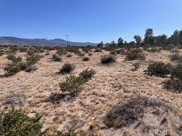 0 Manatee, Newberry Springs CA, 92365 land for sale