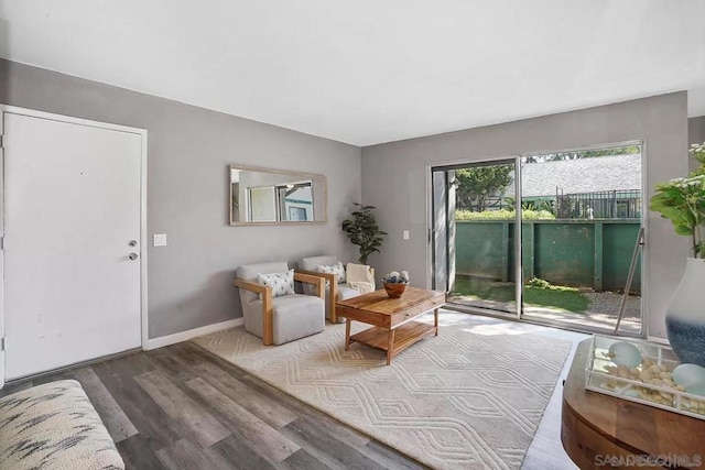 living room with wood-type flooring