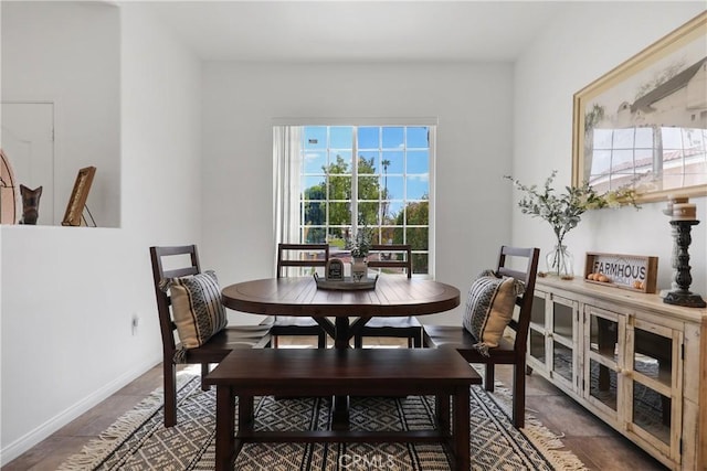 dining area featuring a wealth of natural light