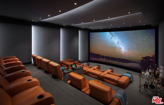 view of carpeted home theater