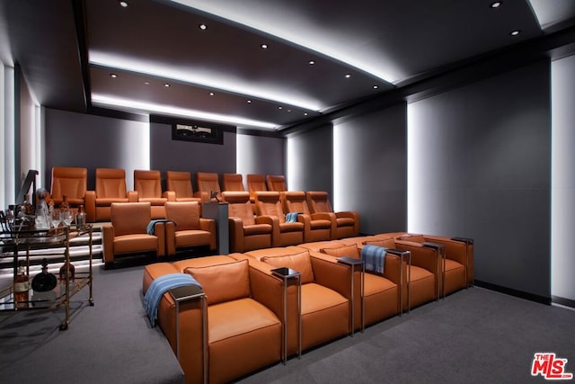 view of carpeted home theater room