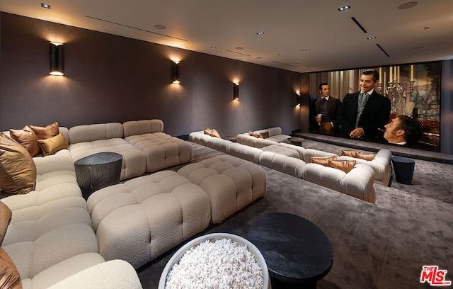 view of home theater room