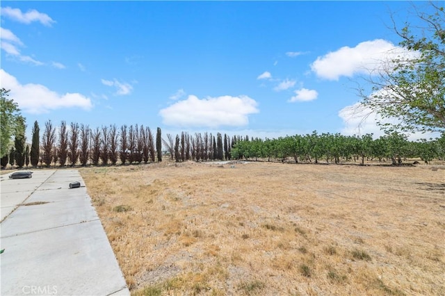 view of yard featuring a rural view