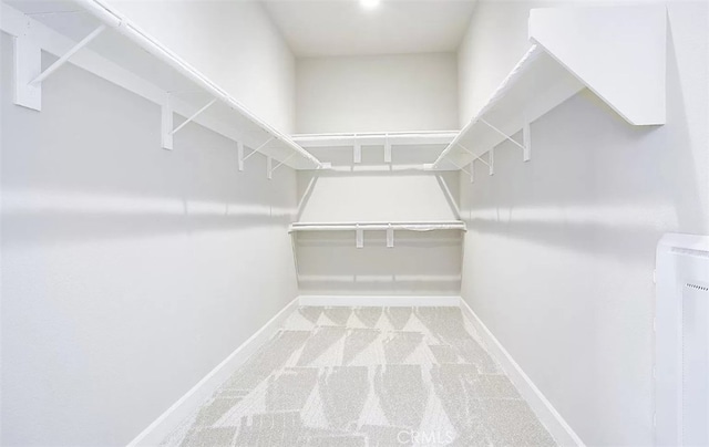 walk in closet with carpet flooring