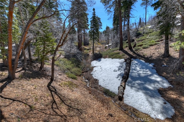 view of local wilderness