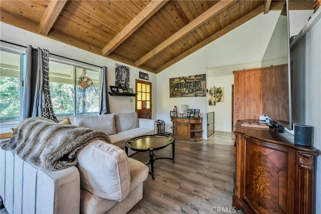 living room with beam ceiling, radiator heating unit, wooden ceiling, high vaulted ceiling, and wood-type flooring