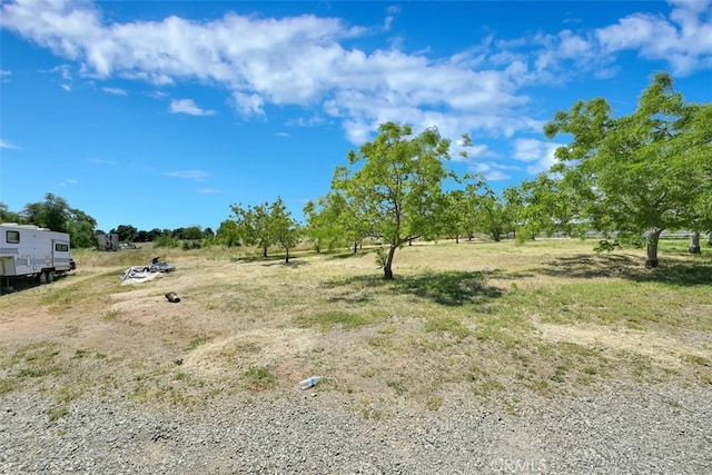 view of yard with a rural view