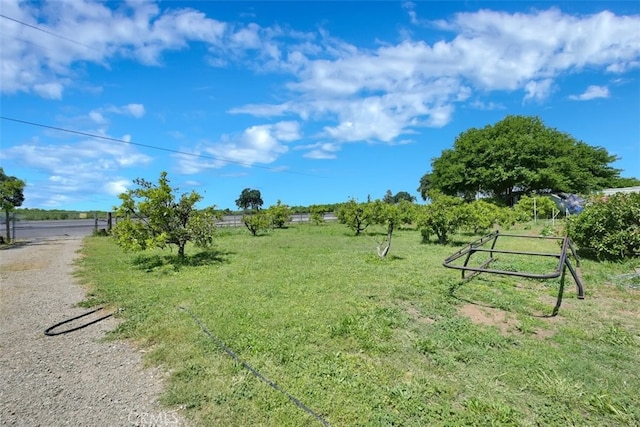 view of yard with a rural view