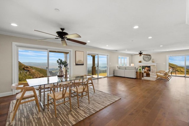 dining area with ceiling fan, plenty of natural light, and a mountain view