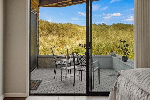 entryway with a wealth of natural light