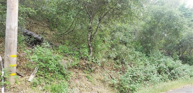 7248 High St, Nice, CA 95464 - photo 11