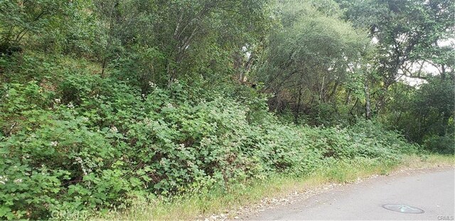 7248 High St, Nice, CA 95464 - photo 10