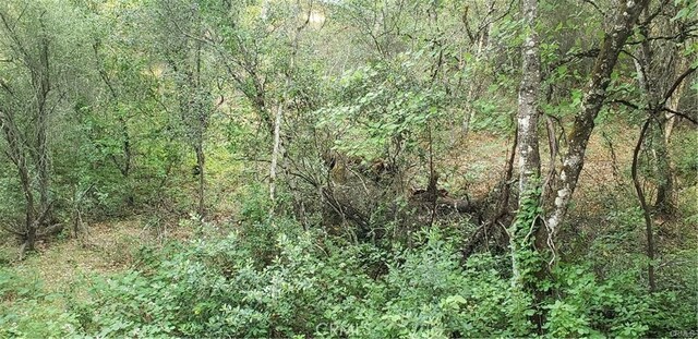 7248 High St, Nice, CA 95464 - photo 3