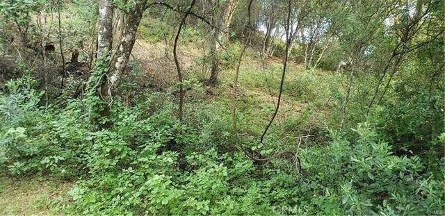 7248 High St, Nice, CA 95464 - photo 8