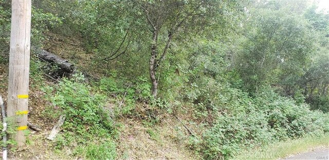 7248 High St, Nice, CA 95464 - photo 2