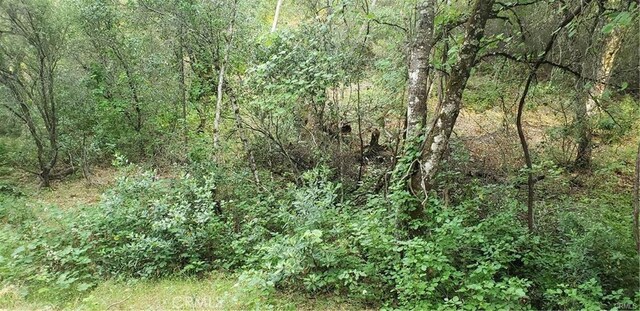 7248 High St, Nice, CA 95464 - photo 7