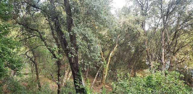 7248 High St, Nice, CA 95464 - photo 4