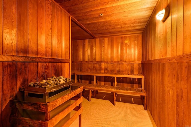 view of sauna featuring wood walls and wood ceiling