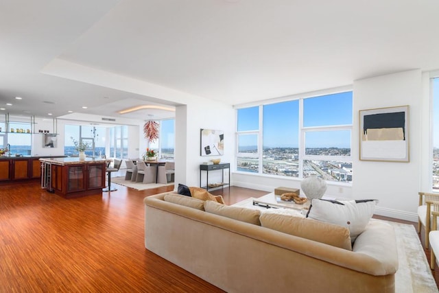 living room featuring plenty of natural light and hardwood / wood-style floors