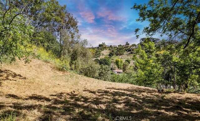0 Las Palomas Dr, La Habra Heights, CA 90631 - photo 30