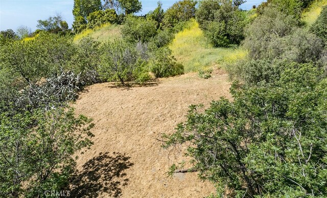 0 Las Palomas Dr, La Habra Heights, CA 90631 - photo 18