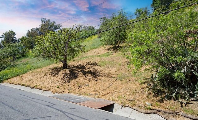 0 Las Palomas Dr, La Habra Heights, CA 90631 - photo 16