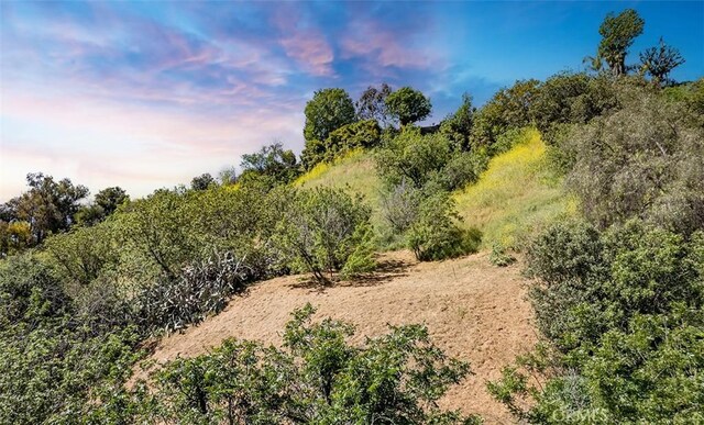 0 Las Palomas Dr, La Habra Heights, CA 90631 - photo 29