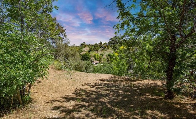 0 Las Palomas Dr, La Habra Heights, CA 90631 - photo 10
