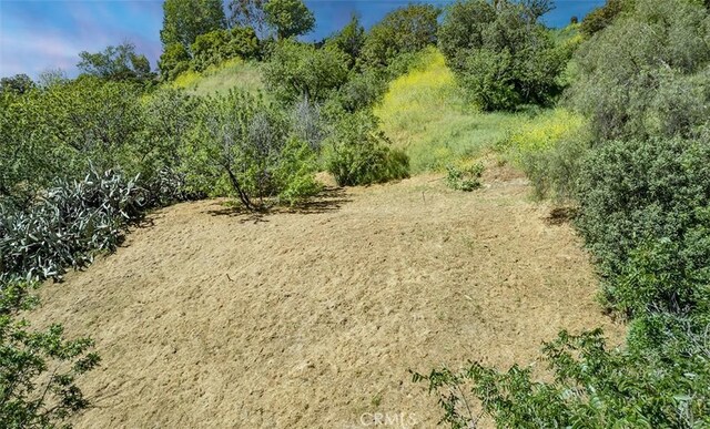 0 Las Palomas Dr, La Habra Heights, CA 90631 - photo 19