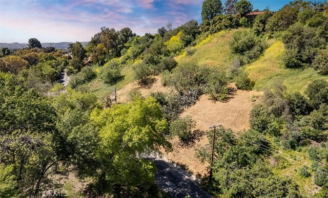 0 Las Palomas Dr, La Habra Heights, CA 90631 - photo 24