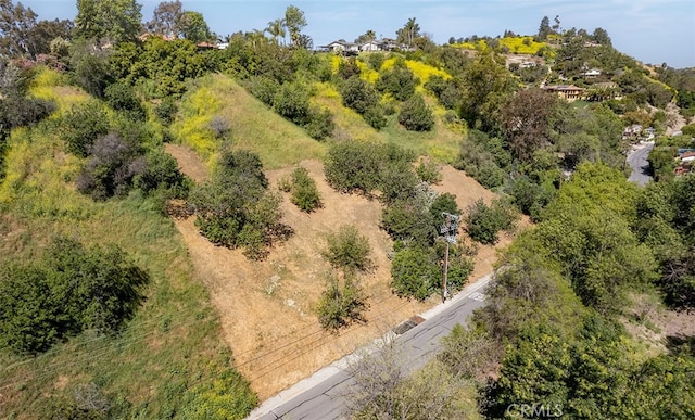 0 Las Palomas Dr, La Habra Heights, CA 90631 - photo 23
