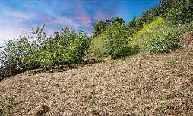 0 Las Palomas Dr, La Habra Heights, CA 90631 - photo 14