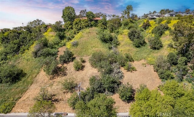 0 Las Palomas Dr, La Habra Heights, CA 90631 - photo 21