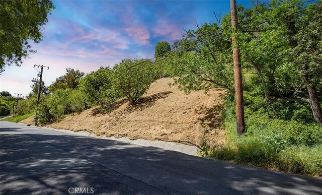 0 Las Palomas Dr, La Habra Heights, CA 90631 - photo 15