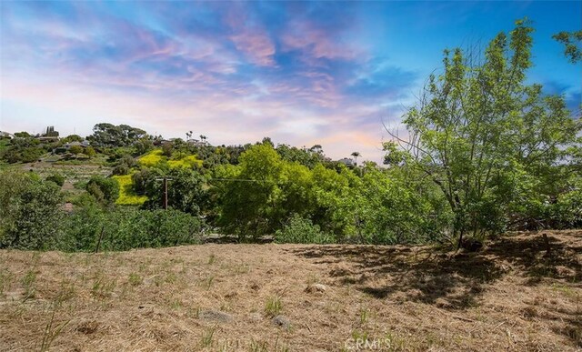 0 Las Palomas Dr, La Habra Heights, CA 90631 - photo 12
