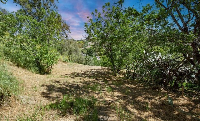 0 Las Palomas Dr, La Habra Heights, CA 90631 - photo 11