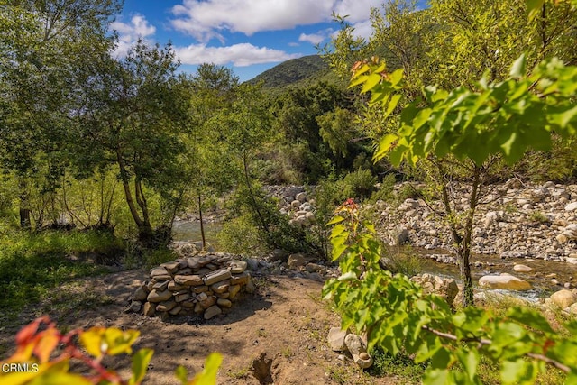 view of nature featuring a mountain view