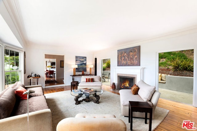 living room featuring hardwood / wood-style flooring and ornamental molding