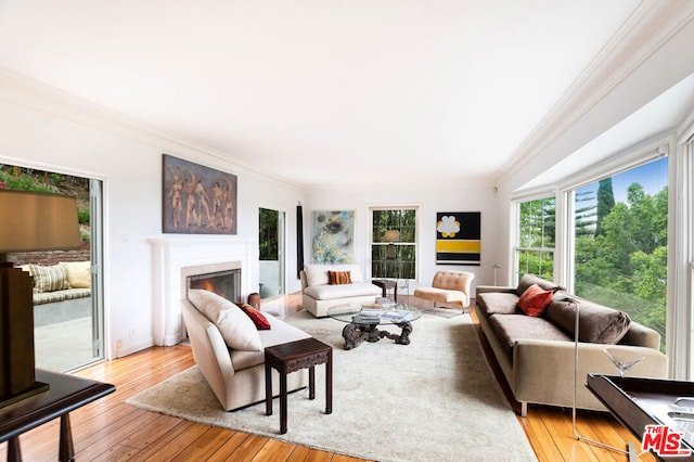 living room featuring light hardwood / wood-style floors and ornamental molding