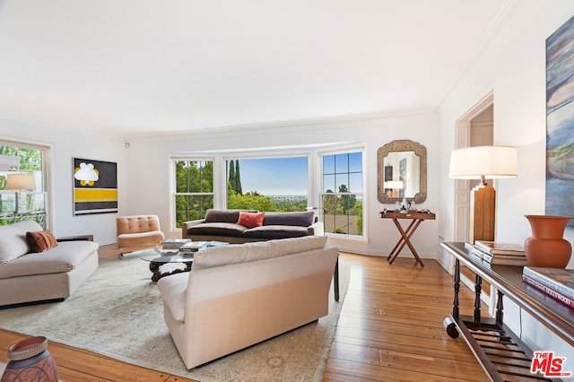 living room with hardwood / wood-style floors and ornamental molding