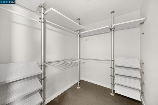 spacious closet featuring dark colored carpet