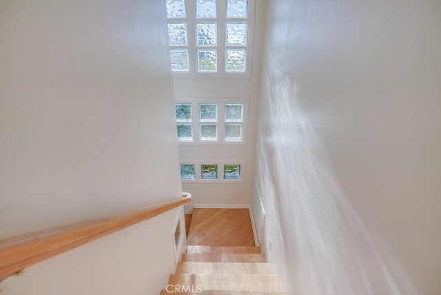 1468 W 37th St, San Pedro, CA 90731 - photo 17