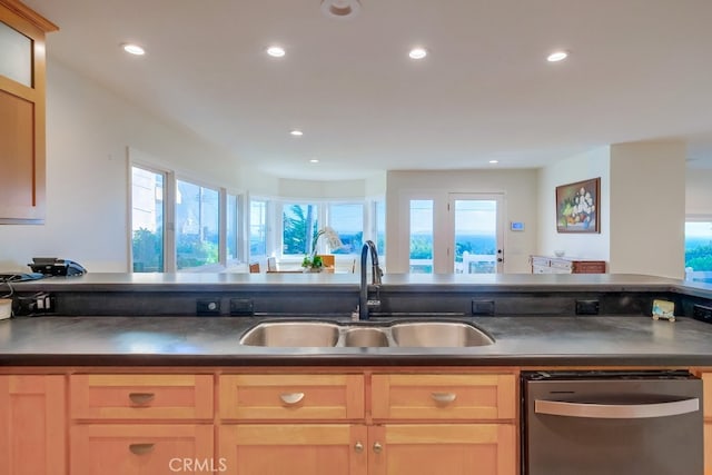 kitchen with dishwasher, light brown cabinets, and sink