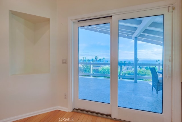 entryway featuring hardwood / wood-style flooring