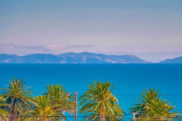 1468 W 37th St, San Pedro, CA 90731 - photo 44
