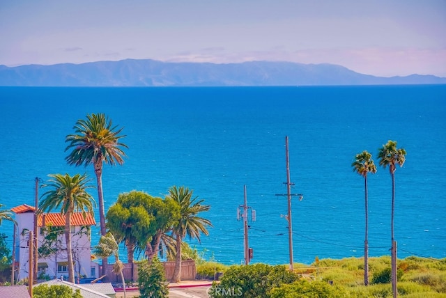 1468 W 37th St, San Pedro, CA 90731 - photo 45