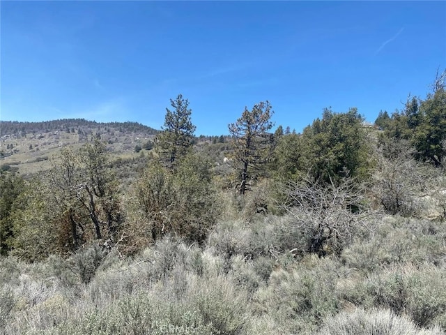 Listing photo 2 for 25301 Paramount Dr, Tehachapi CA 93561