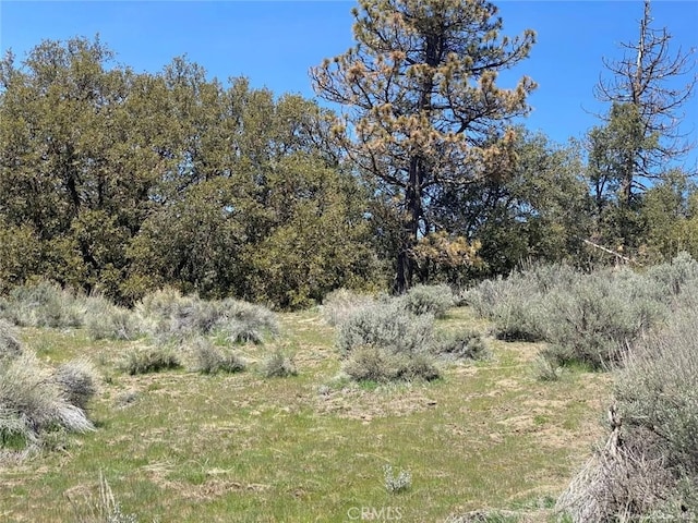 25301 Paramount Dr, Tehachapi CA, 93561 land for sale