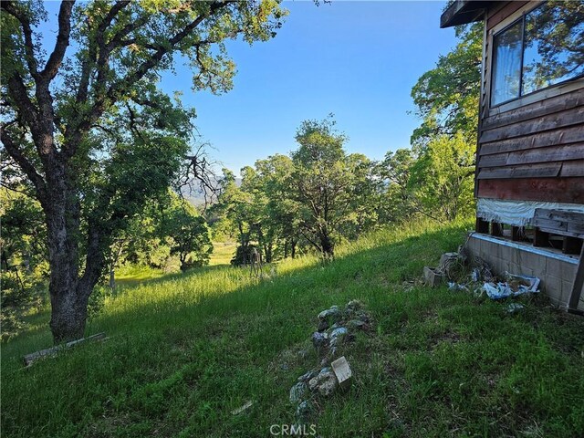 728 Watertrough Rd, Clearlake Oaks, CA 95423 - photo 4